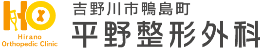 平野整形外科