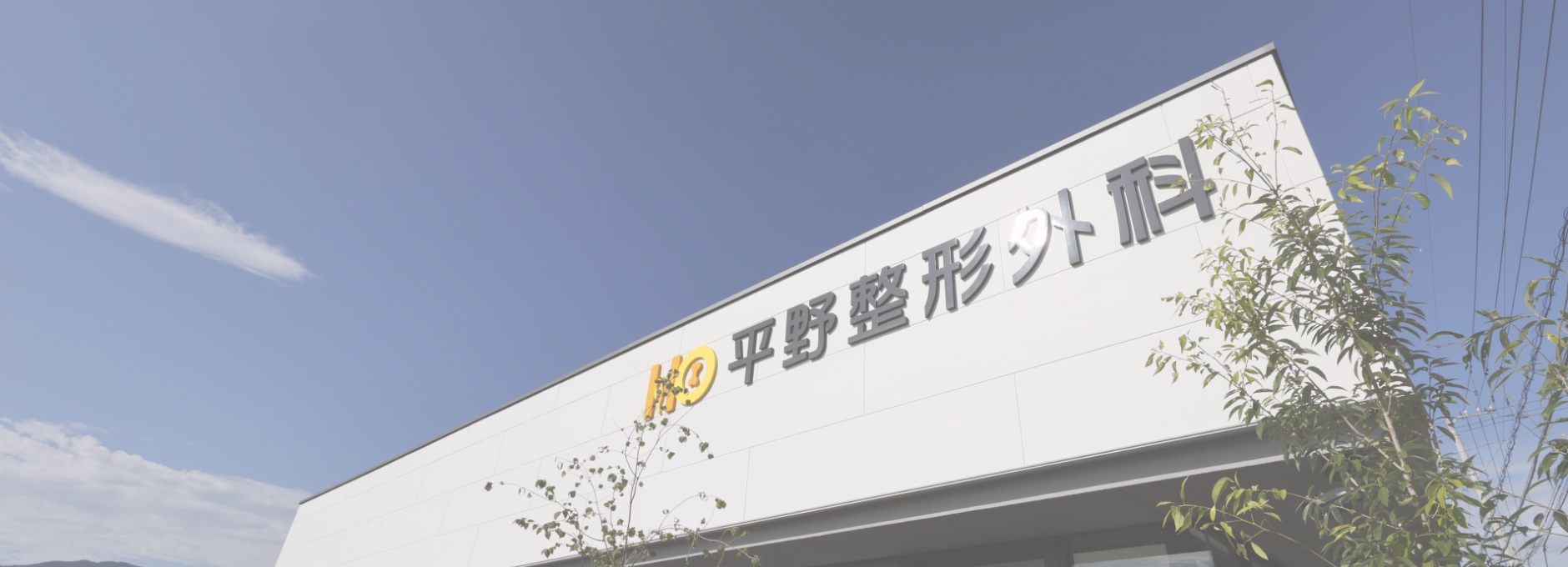 採用情報